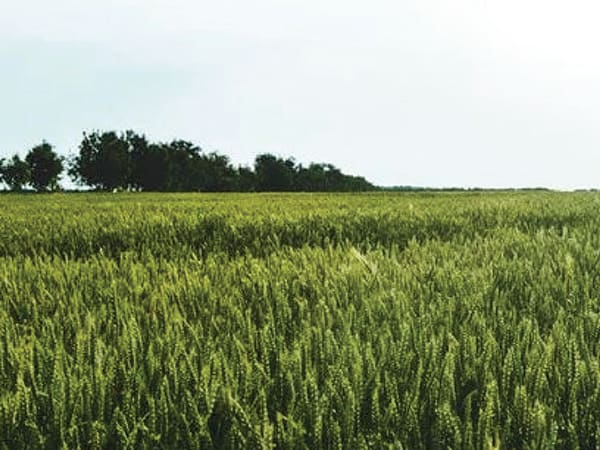 EPA Compliance and Environmental Training