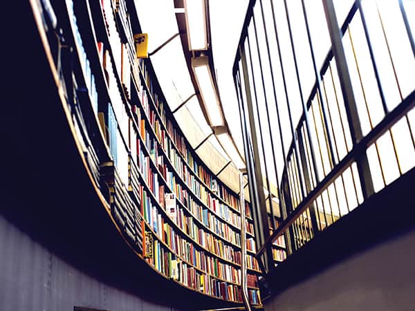 Employment Law Training