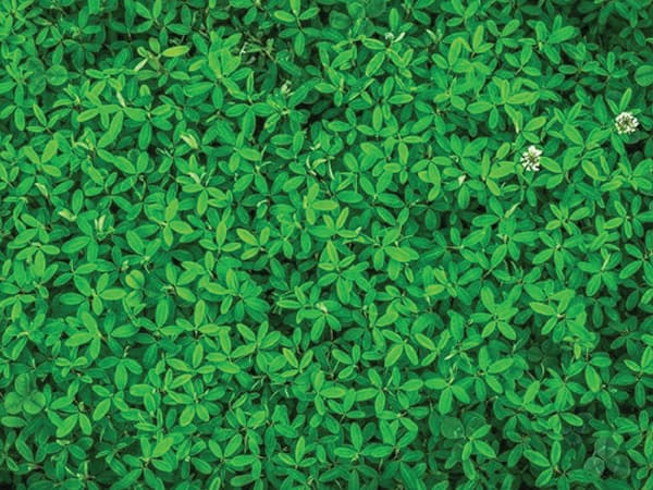 ISO 14001 Environmental Training Courses