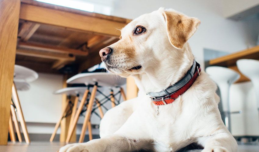 3 Voluntary Benefits to Attract and Retain Top Talent