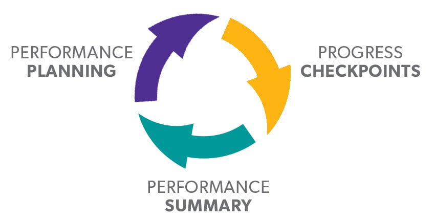 Performance Management Cycle