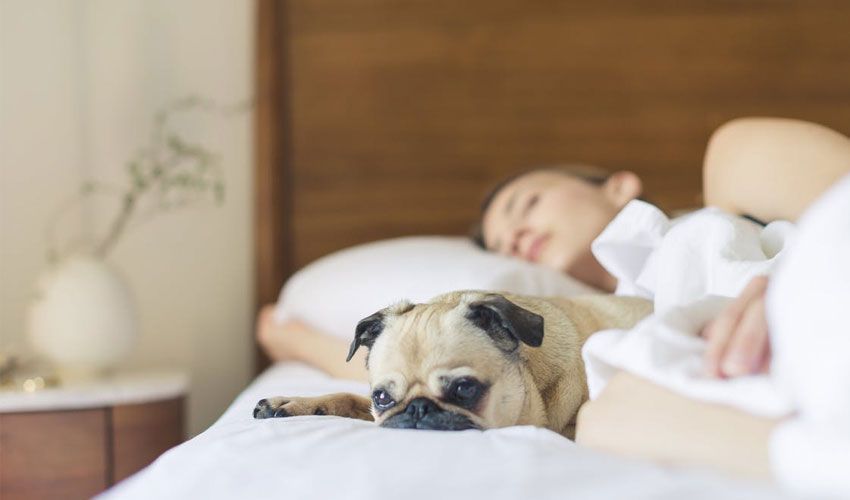 When Should Sick Employees Stay Home?