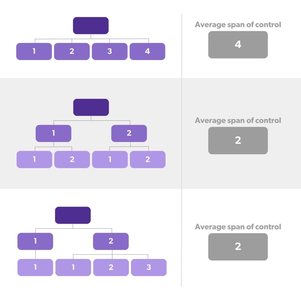 Average span of control